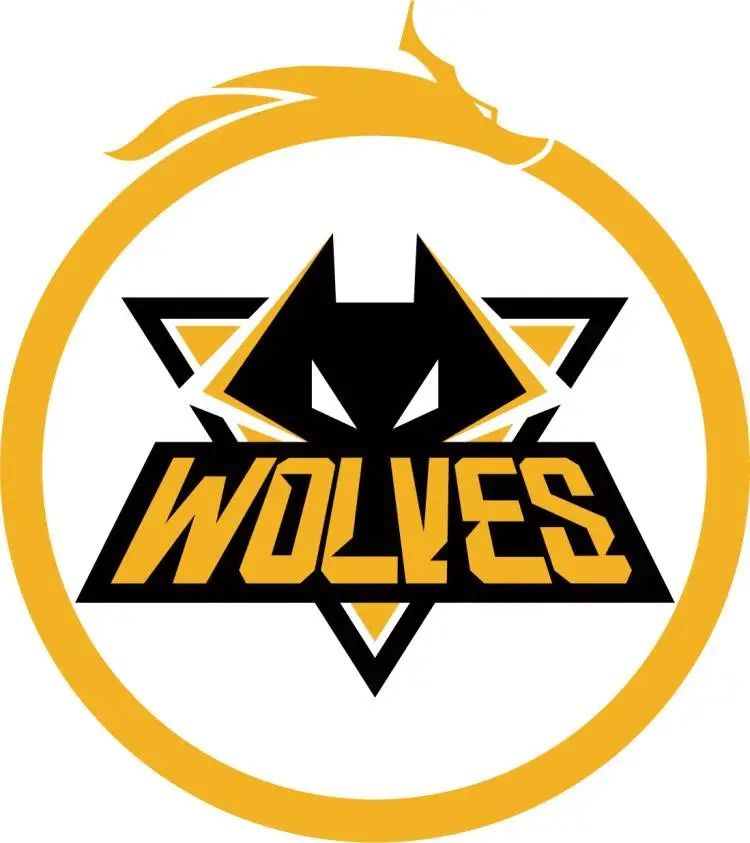 FaZe将对阵Liquid， FURIA Esports vs Astralis 争夺IEM科隆2025阶段2的名额